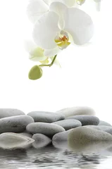 Poster Reflection for spa still life