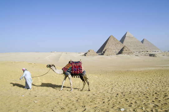 Egyption desert walk