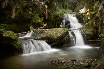 Fototapeta na wymiar Onomea Falls