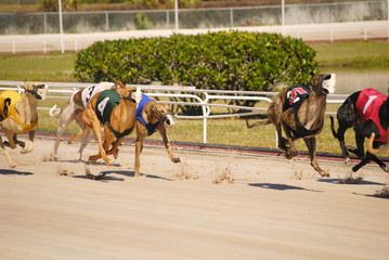 Racing to win