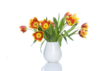Tulpen