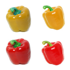 Isolated pepper on a white background.