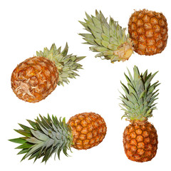 Pineapple isolated on a white background.