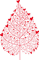 heart leaf