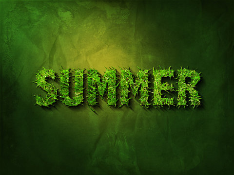 Sommer - Schrift in Grasstil