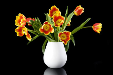 Tulpen