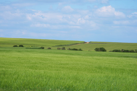 Prado