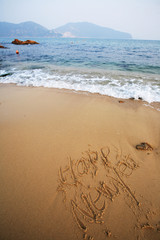 happy new year on beach