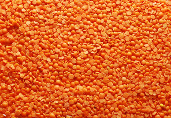 orange lentil background
