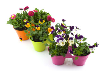 Many decoration colored buckets