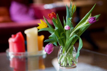 tulips in interior