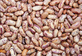 Kidney beans
