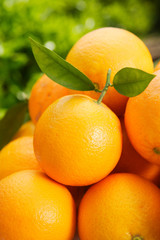 oranges