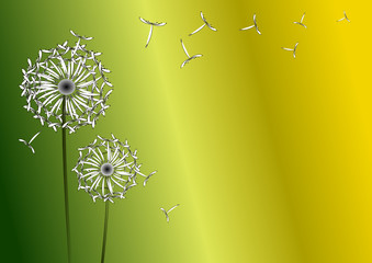 pusteblume