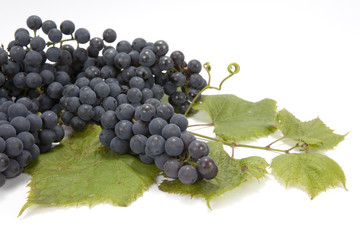Bunch of grapes on leaves