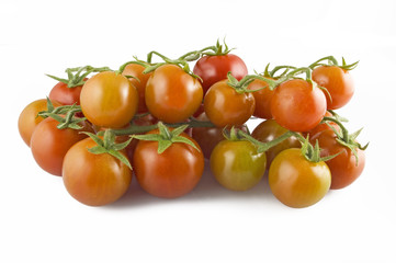 Pomodori a Grappolo 6