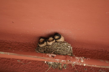 SONY DSC © LEGOS7365