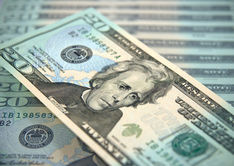 Twenty dollar bill