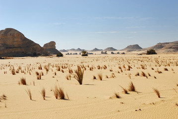 Sahara Desert, Egypt