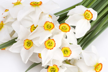closeup of delicate white narcissuses