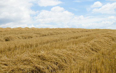 swaths
