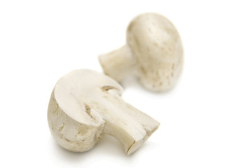 Fresh mushrooms isolated on a white background