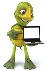 Tortue avec un portable