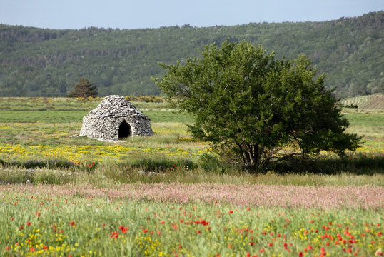 typische Landschaft der Provence mit Baum und Borie
