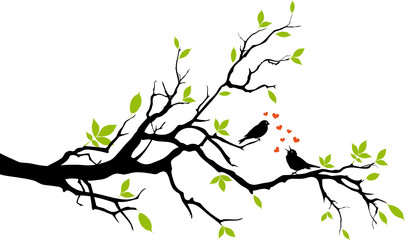 spring, two birds in love, sitting on a branch