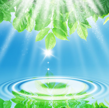 green leaves