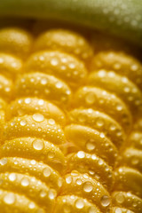 macro of fresh maize corns