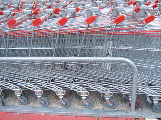 carrelli della spesa