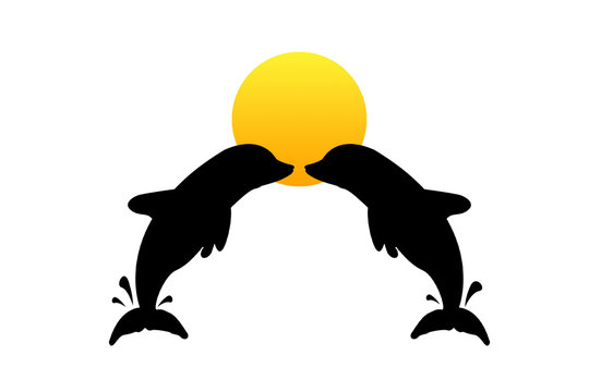 Delfine im Sonnenlicht