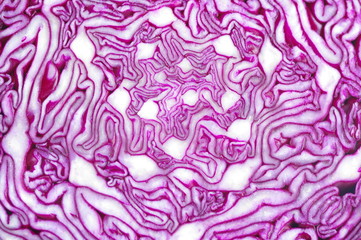Obraz premium Rotkohl im Querschnitt