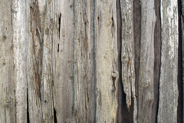 Background of wood