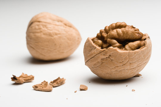 walnut