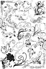 illustrations design