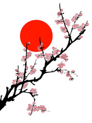 Cherry blossom branches on white with a red sun