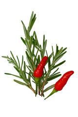 rosemary and chill herbs
