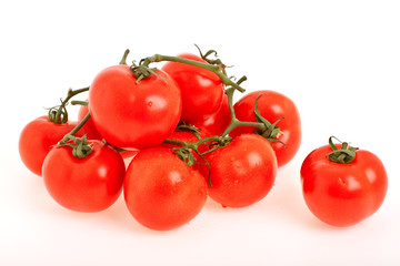 Branch of tomatoes