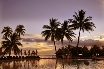 Fototapeta na wymiar Zachód słońca za palmami, tropikalne, Tahiti, Polinezja Francuska