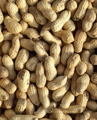 peanuts background