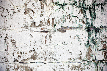 Old Wall Texture