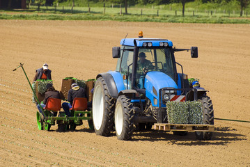 Obraz premium Traktor mit Pflanzmaschine