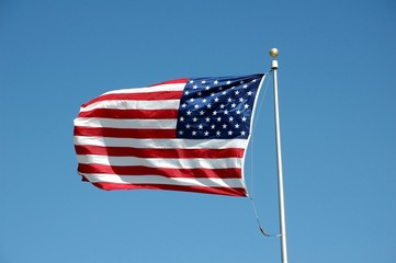 united states of america  flag