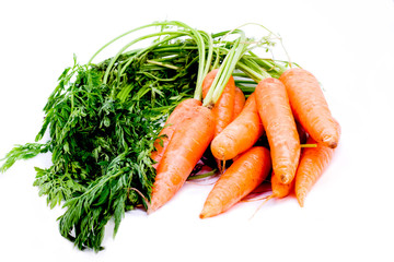 Fresh organic carrots with stems isloated on white