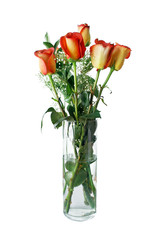 Yellow Red Roses