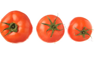 juicy isolated tomato
