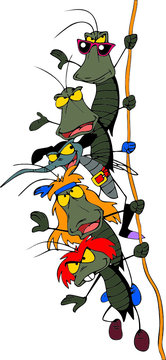 Cartoon Rock Group of Bugs