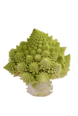 chou romanesco effeuillé sur fond blanc